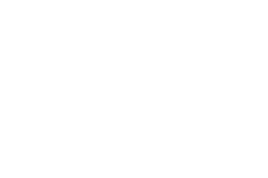 TechnicaX White logo